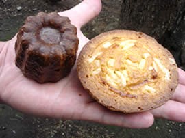 どこにいてもフランス菓子の事は忘れません